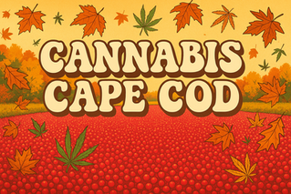 Cannabis Cape Cod