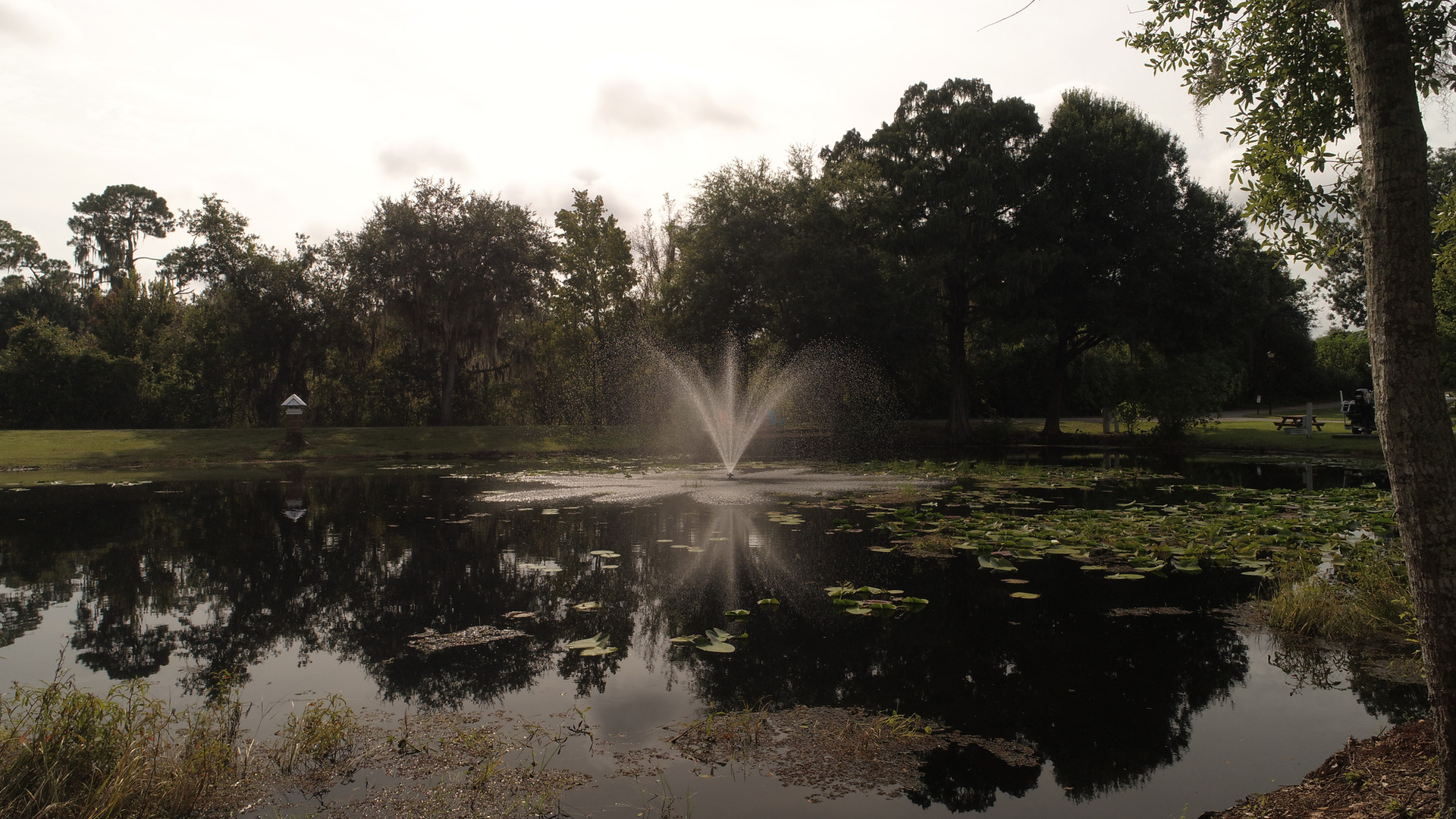 HOME Oak Hammock Resort Central Florida