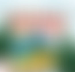 Friendly Dispensary Cape Cod