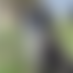 Azzio - baisse de prix !