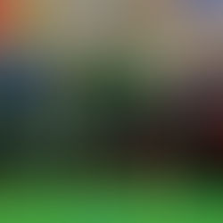 Deutschland Pokalsieg geht nach Reideburg!