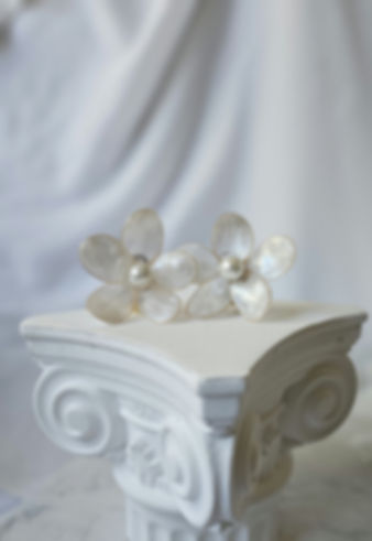 boucles d'oreilles clip