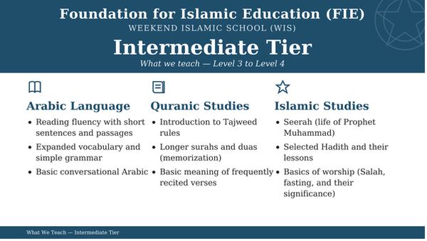 FIE_WIS_Intermediate_Tier.png