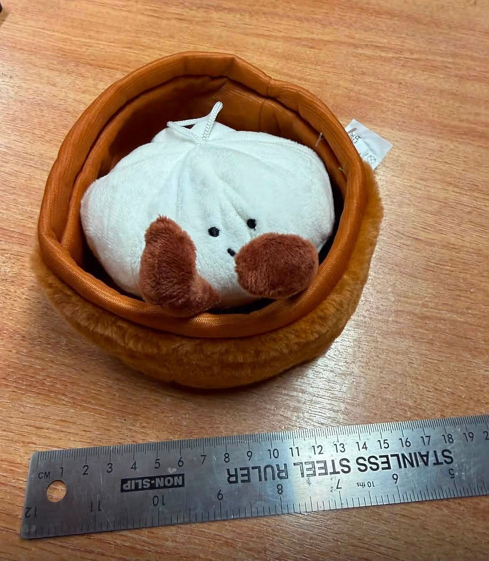 Thumbnail: Viral plush dumplings.