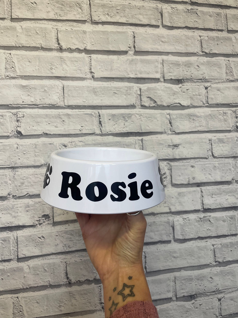 Thumbnail: Medium size acrylic per bowl