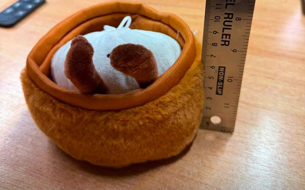 Thumbnail: Viral plush dumplings.