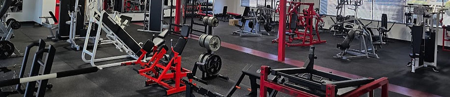 gym2_edited_edited.jpg