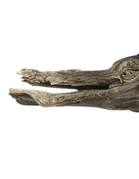driftwood_edited.png