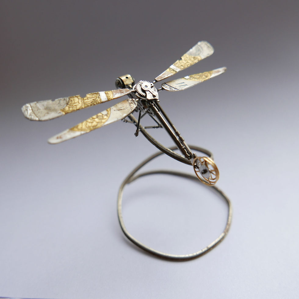 Dragonfly No 23