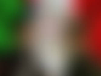 forze armate 4 novembre