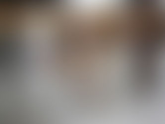 Por que os gatos seguem algumas pessoas mais do que outras?