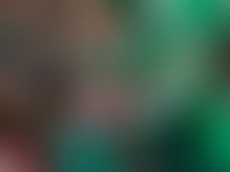 Senado da Argentina aprova legalização do aborto no país