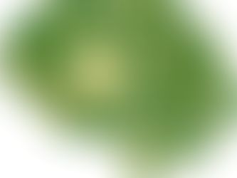 Chip que ‘lê’ e ativa neurônios poderá reverter cegueira e surdez