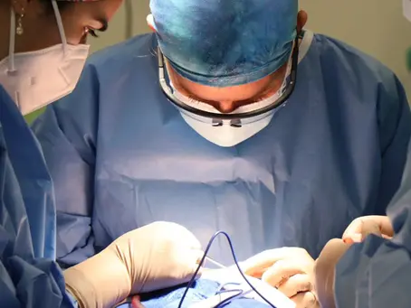 Médico brasileiro comanda o 1º transplante de rim de porco para um humano, nos EUA