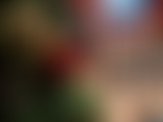 Coronavírus afeta o Natal pelo mundo; veja a situação nos 15 países mais atingidos pela Covid