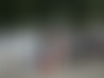 Novos estudos na 'Science' reforçam mercado de Wuhan como origem do primeiro caso de Covid-19