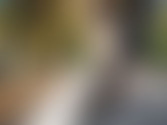 O que a forma de caminhar diz sobre a sua saúde