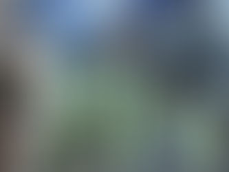 Maior produtor mundial de vacinas pede a Biden que encerre embargo de matérias-primas