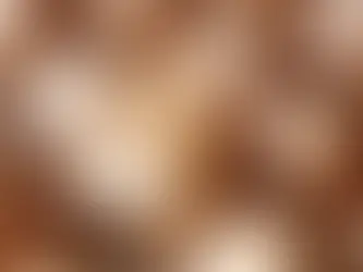 O que surgiu primeiro: o ovo ou a galinha? estudo suíço diz ter a resposta