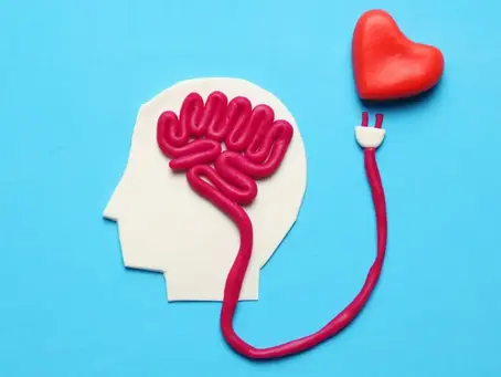 O que a ciência descobriu sobre os efeitos de um novo amor no cérebro