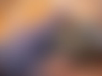 Gene que pode explicar pais afetuosos ou agressivos é identificado em camundongos