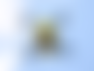 Drone é usado para transportar tecido humano entre hospitais na Bélgica