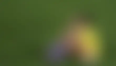 Saúde mental: 57% das jogadoras de futebol relatam problemas psicológicos; metade não recebe apoio dos clubes