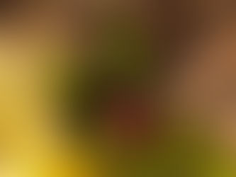 Mulher injeta aranha esmagada em si mesma para se entorpecer; entenda o caso