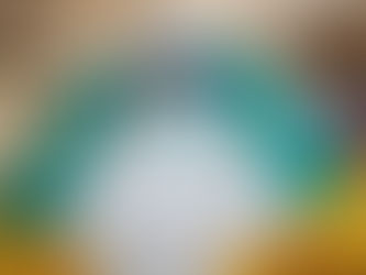 O que se sabe sobre as primeiras mortes por Ebola na Guiné em 1º ressurgimento desde 2016