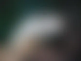 Homem é picado por cobra venenosa e ao acordar não lembra da namorada; entenda o caso