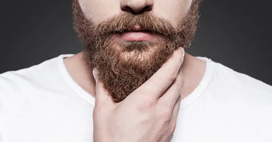 Barbas têm mais micróbios que privadas? O que diz a ciência