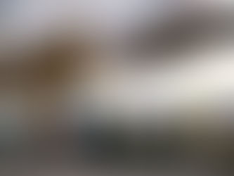 Covid-19: Brasil recebe 10 toneladas de itens de saúde dos Emirados Árabes