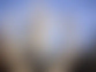 Memorando mostra anúncio de revisão de programas da OMS após saída dos EUA