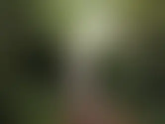 Crianças com acesso à natureza têm ossos mais fortes, aponta novo estudo; entenda