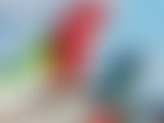 Portugal suspende voos entre o país e o Brasil