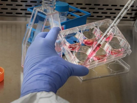 Depois dos EUA, União Europeia estuda abrir mão das patentes de vacina