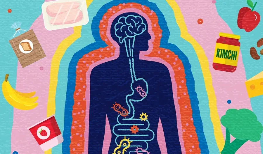 Entenda como o intestino pode explicar o seu cansaço e irritação