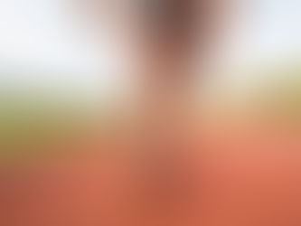 Corrida prejudica o joelho? Correr agasalhado emagrece mais? Veja 7 mitos e verdades sobre o esporte