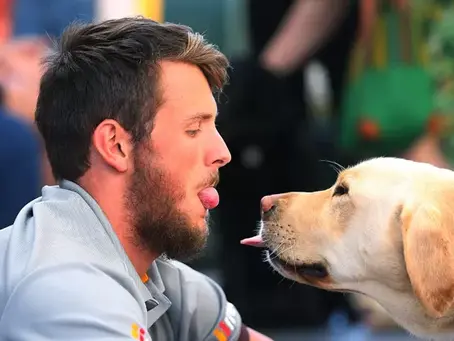 Estudo descobre que o cérebro dos cães 'sincroniza' com o dos tutores durante troca de olhares