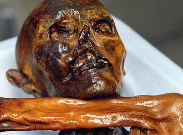 Homem de Gelo: cientistas descobrem micróbios vivos em múmia de 5.300 anos; saiba o que achado significa