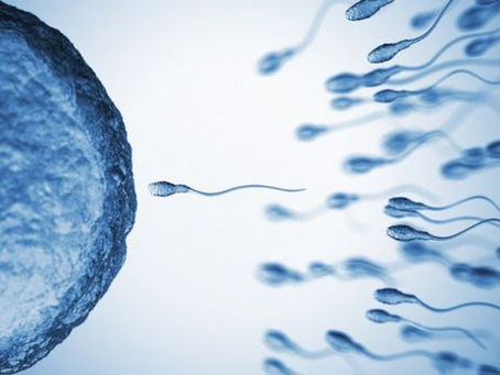 Casal gera bebê a partir de espermatozoide congelado há 26 anos