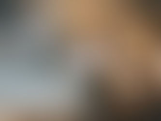 Covid: Hong Kong ameaça quem tentar impedir execução de hamsters