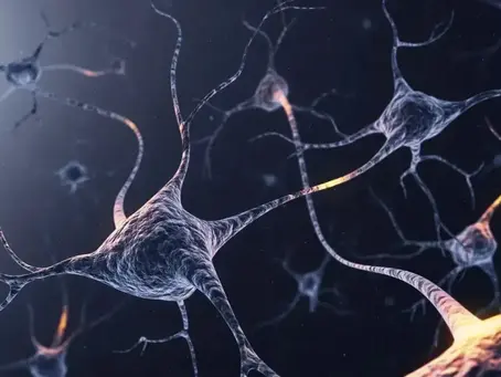 Cientistas estudam caso surpreendente de mulher com Alzheimer sem perda cognitiva; entenda