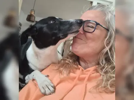 “Salva-vidas”: cachorra descobre câncer de mama em tutora pelo cheiro