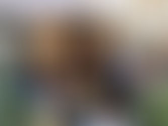 Itália reabre bares, restaurantes, cinemas e museus; governo anuncia plano de € 222 bilhões