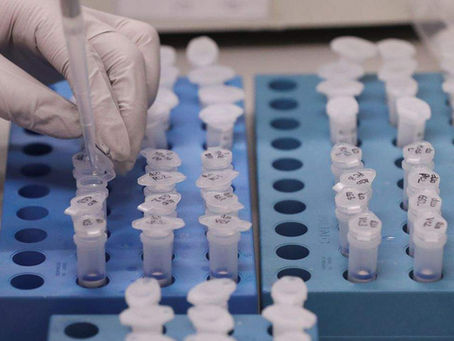 Israel registra primeiro caso de paciente com covid-19 e gripe simultaneamente