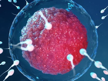 IA encontra oito espermatozoides antes 'invisíveis', e casal engravida mesmo após diagnóstico de infertilidade severa; entenda