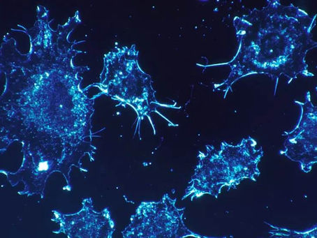 Duas pessoas testam positivo para Febre de Lassa no Reino Unido