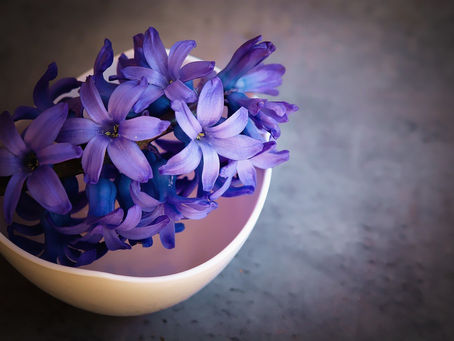 O poder das flores no alívio dos sintomas da fibromialgia