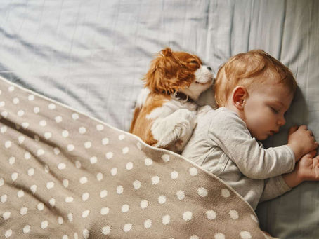 Regressão dos 4 meses: entenda como o sono dos bebês pode mudar